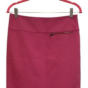 Ann Taylor Fuchsia Pencil Skirt